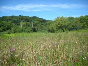 Waterford Nature Preserve